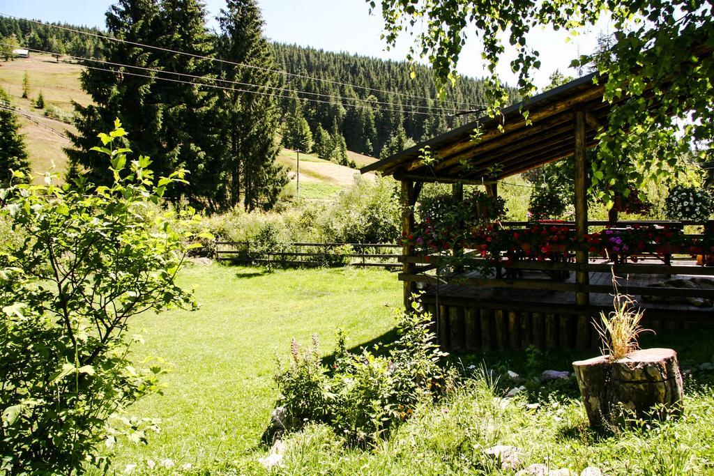 Pensiunea Casa Noastra Arieseni Exterior photo
